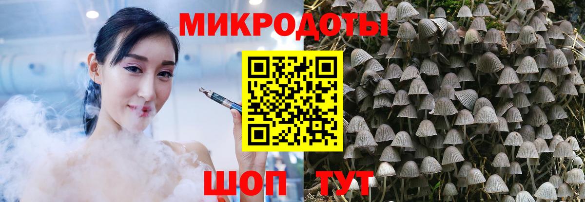 Галлюциногенные грибы Psilocybe  Вход с VPN  где купить наркотик  Сергиев Посад 